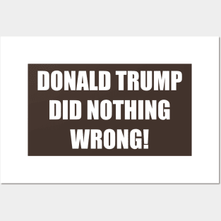 Donald trump did nothing wrong! Posters and Art